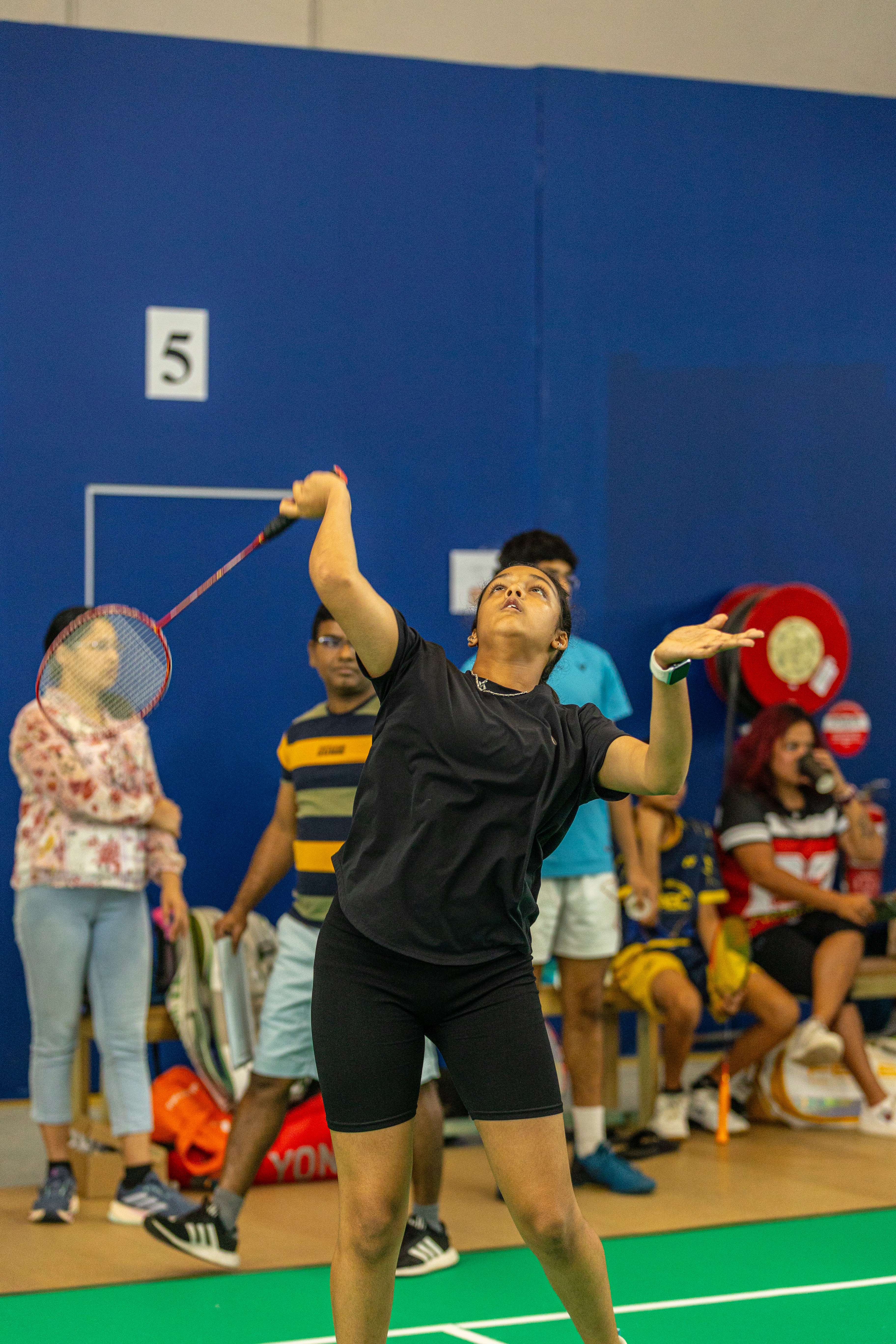 Premium courts close-up